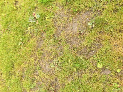 IMG-0732.JPG