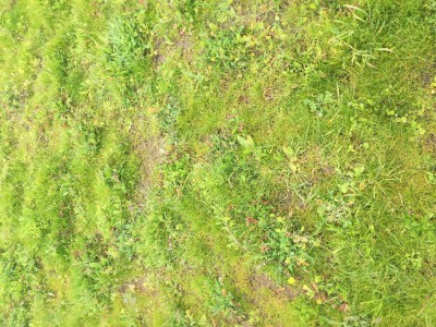 IMG-0733.JPG