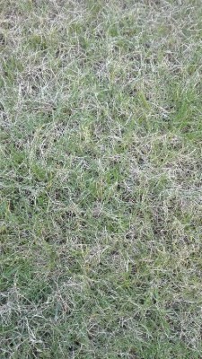 IMG_20180403_203213.jpg