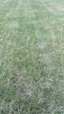 IMG_20180403_203226.jpg