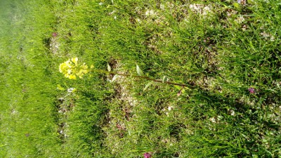 DSC_2414.JPG