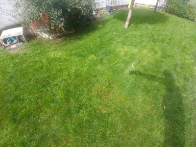 20180407_114401.jpg