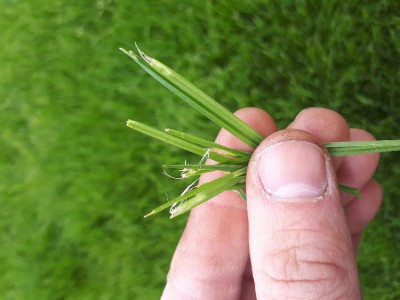 20180415_142307.jpg
