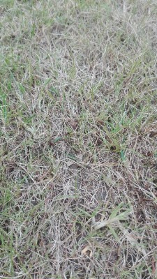 IMG_20180416_194840.jpg