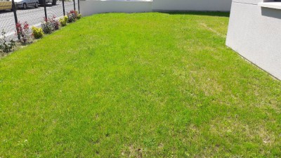 20180419_141529.jpg