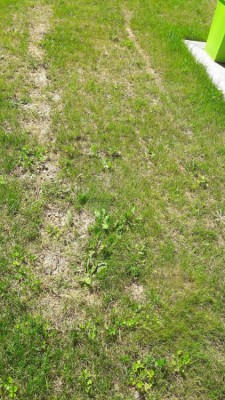 20180419_141540.jpg
