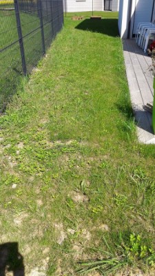 20180419_141557.jpg