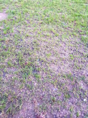 20180425_212415.jpg