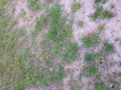 20180425_211322.jpg