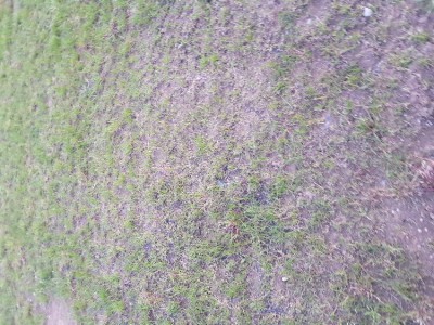 20180425_211302.jpg