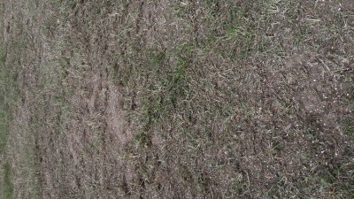 Semé, roulé, fertilisé. Vais boire une bière en terrasse devant l'arroseur désormais. Mais arrive toujours pas à mettre les photos droite.