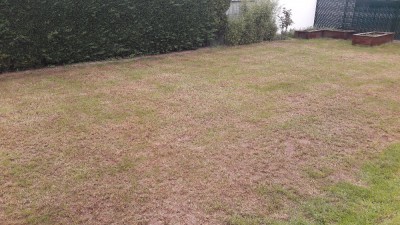 20180429_150315.jpg
