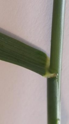 20180429_173841.jpg