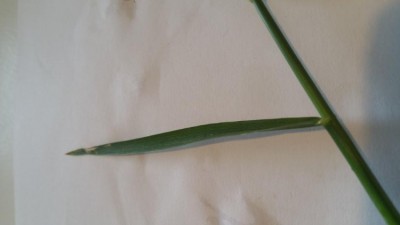 20180429_175657-3.jpg
