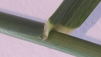 20180429_175758-2.jpg