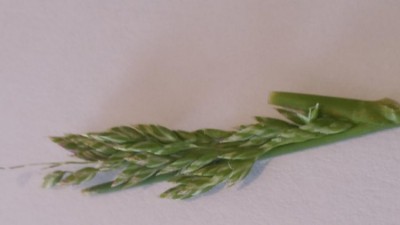 20180429_180346-1.jpg