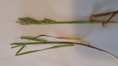 20180429_180255.jpg