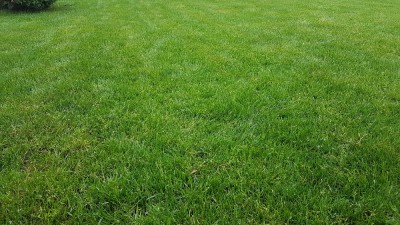 20180430_192857.jpg
