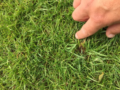 F6C1856D-0870-4EA7-B13E-4823295D14A5.jpeg