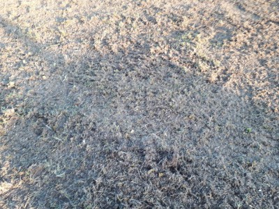 20180506_202405.jpg