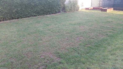 20180507_073105.jpg