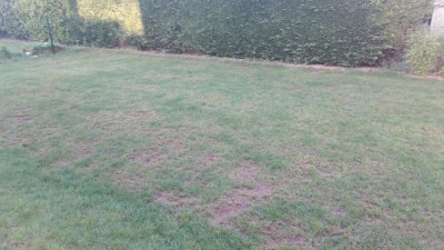 20180507_073116.jpg