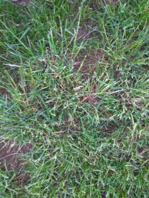 IMG_20180507_210125.jpg