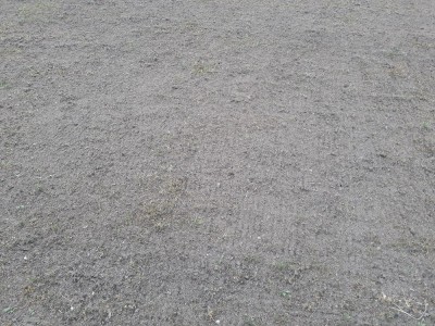 20180509_192351.jpg