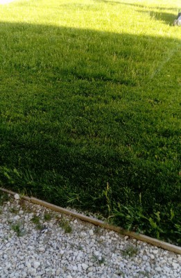 _20180513_073644.JPG