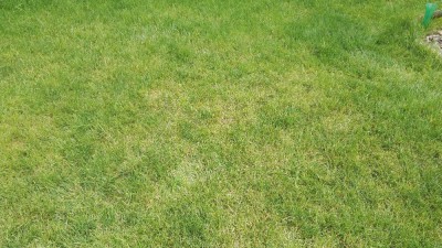 IMG_20180517_153822.jpg