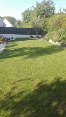 IMG_20180517_192955.jpg