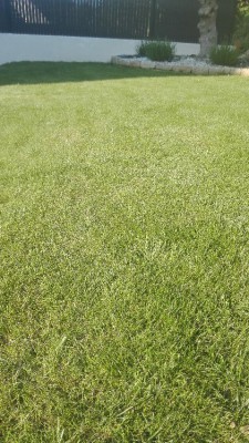 IMG_20180517_193012.jpg
