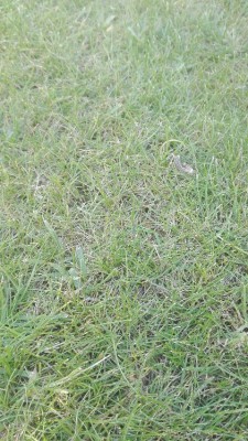 IMG_20180517_193032.jpg