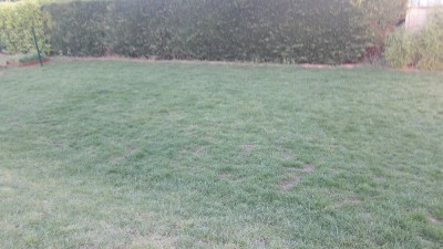 20180518_065229.jpg