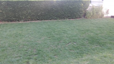 20180518_065241.jpg