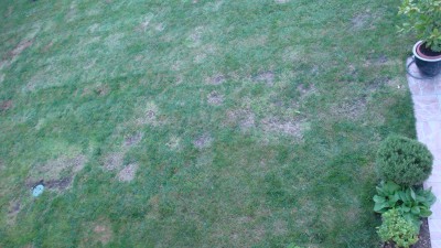 9sept 2015 terrasse.JPG