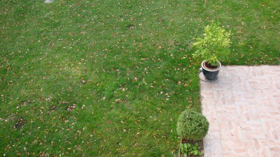 10 novembre terrasse vue de l'étage.JPG
