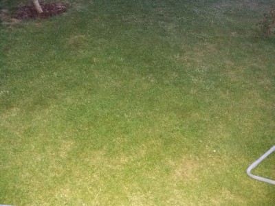 20180520_215617.jpg