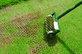 seed_slotter2.gif