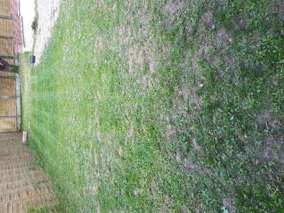 20180520_165705.jpg