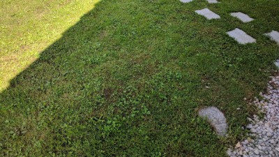 IMG_20180521_114716.jpg