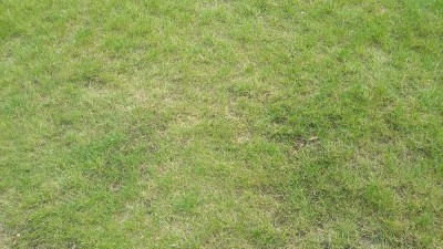 20180521_173614.jpg