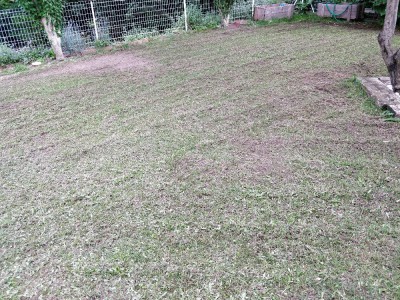 IMG_20180521_200456.jpg