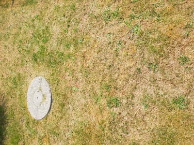 20180521_151257.jpg