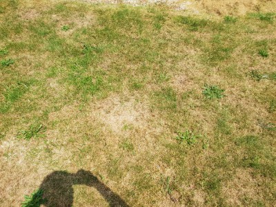20180521_151341.jpg
