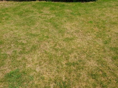 20180521_151443.jpg