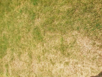 20180521_151354.jpg