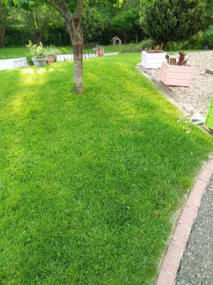 Zone 1