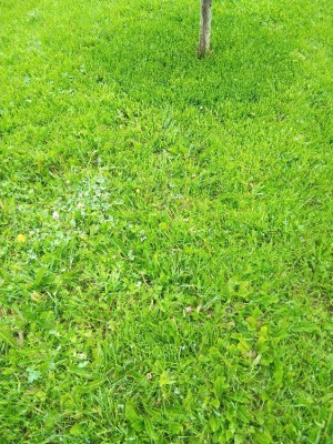 Zone 3