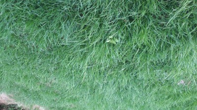 20180522_071829.jpg